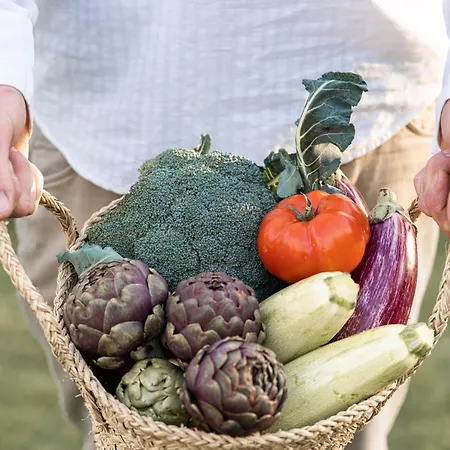 Malbuger Nou Menorca -adults Only-