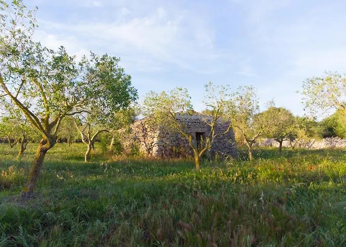 Malbuger Nou Menorca -adults Only- *