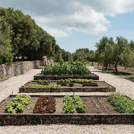 Bauernhof Malbuger Nou Menorca -adults Only- *